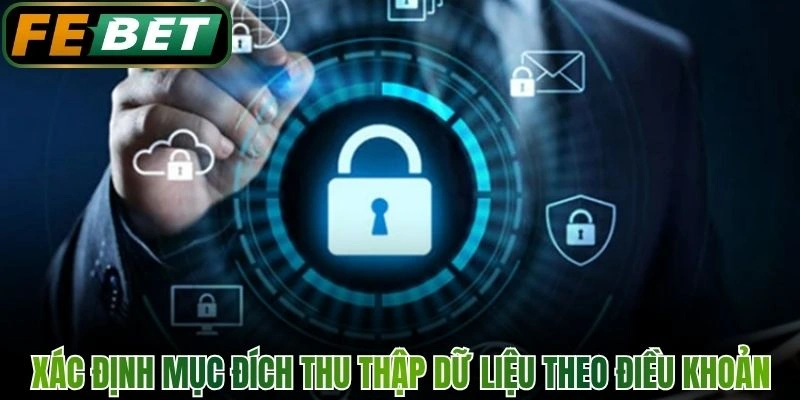 Xác định mục đích thu thập dữ liệu theo điều khoản