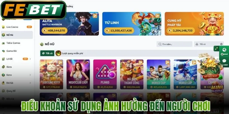  Điều khoản sử dụng có ảnh hưởng gì đến người chơi