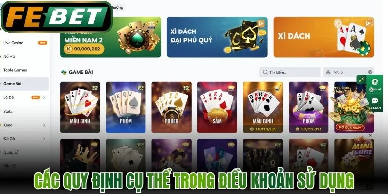 Các quy định cụ thể trong điều khoản sử dụng