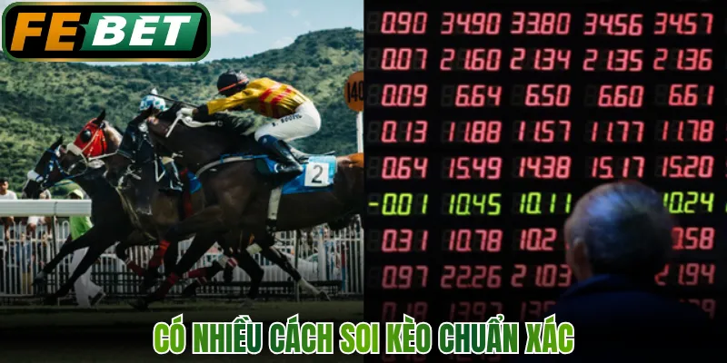 Đua Ngựa - Trải Nghiệm Cá Độ Đường Đua Rực Lửa FEBET 3 Có nhiều cách soi kèo chuẩn xác