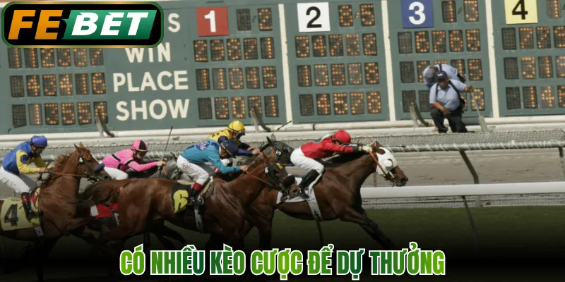 Đua Ngựa - Trải Nghiệm Cá Độ Đường Đua Rực Lửa FEBET 2 Có nhiều kèo cược để dự thưởng