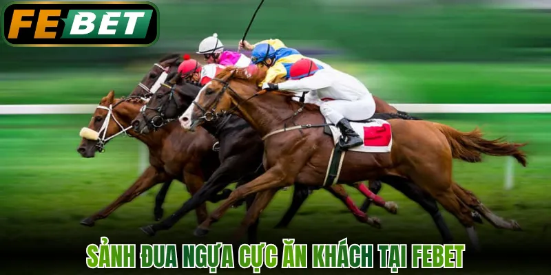 Đua Ngựa - Trải Nghiệm Cá Độ Đường Đua Rực Lửa FEBET 1 Sảnh đua ngựa cực ăn khách tại FEBET