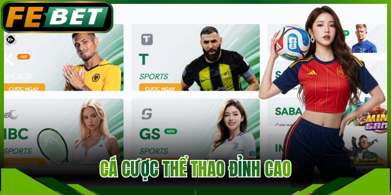Cá cược thể thao đỉnh cao
