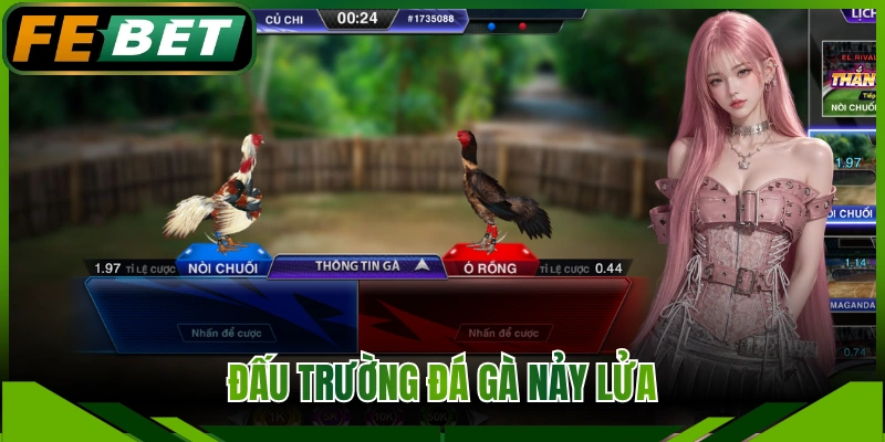 Đấu trường đá gà nảy lửa