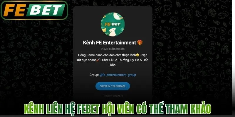 Các kênh liên hệ FEBET hội viên có thể tham khảo
